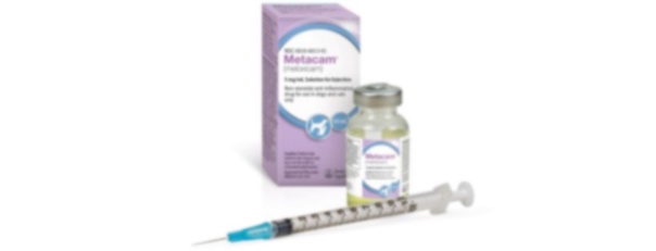 meloxicam