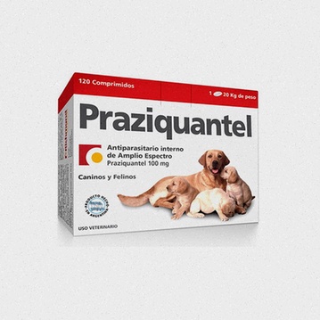 praziquantel